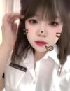 杭州巨臀